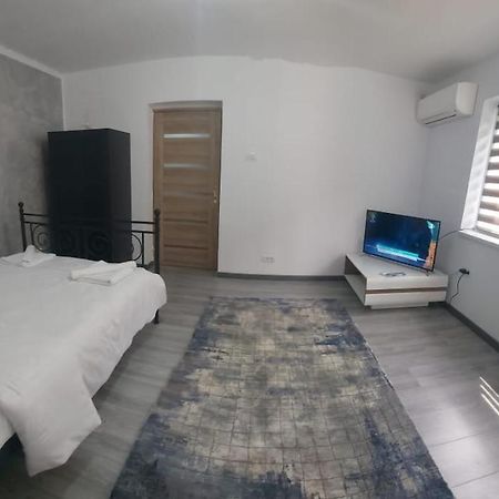 Andi 2-Apartament Băile Herculane Zewnętrze zdjęcie