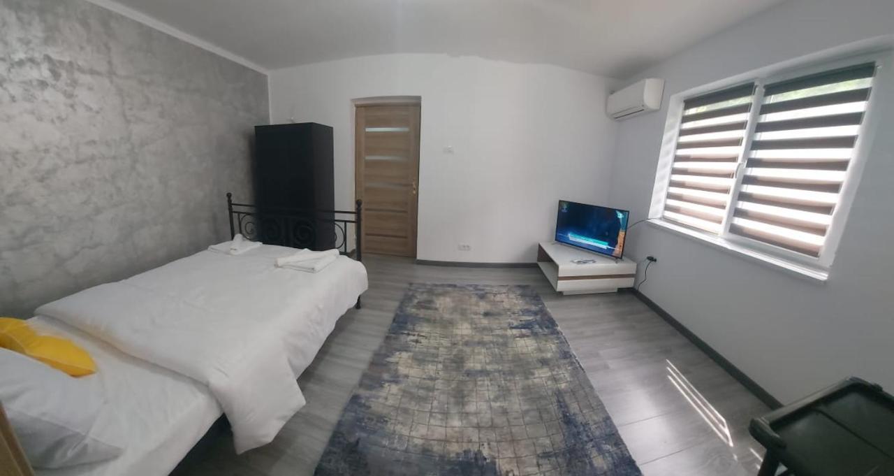 Andi 2-Apartament Băile Herculane Zewnętrze zdjęcie