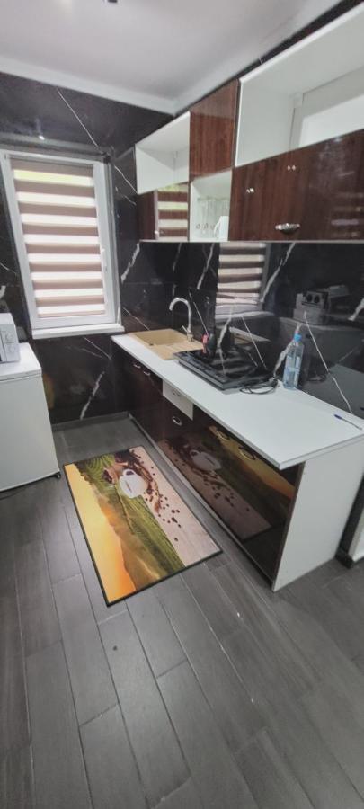 Andi 2-Apartament Băile Herculane Zewnętrze zdjęcie