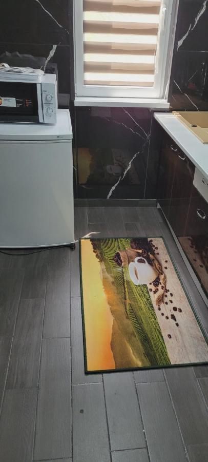 Andi 2-Apartament Băile Herculane Zewnętrze zdjęcie